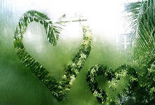 bb体育官网：巴西新帅4选1安切洛蒂在列 内马尔提议：请回63岁旧帅.