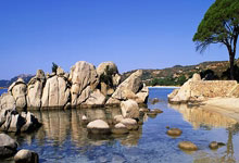 bb体育官网：[体坛零距离]张雨霏：跟崔导的时候会选择不说.